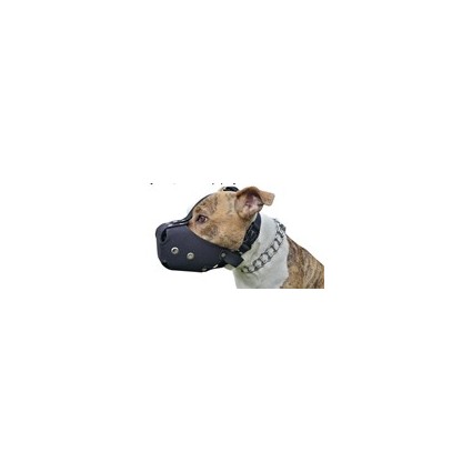 Bolsal Perro Pitbull Bullterrier Comodos Reglamentarios Bogota