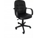Silla Ejecutiva Neumatica Brazos Espaldar Tapiz Ecocuero